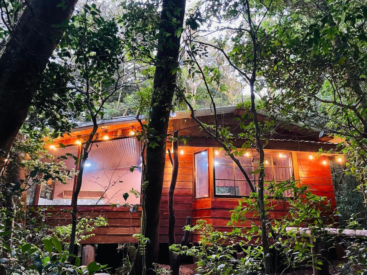 Cabanas La Montana Monteverde Exterior foto