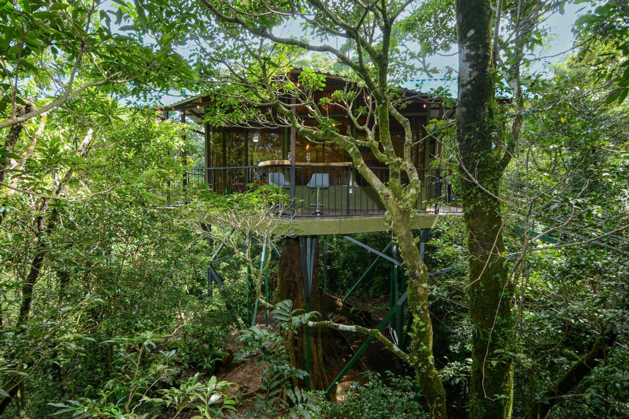 Cabanas La Montana Monteverde Exterior foto